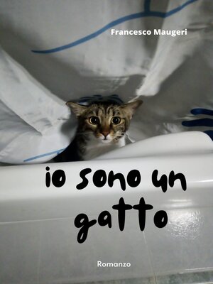 cover image of Io sono un gatto